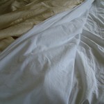 DSCF5050 DSCF5050