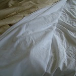 DSCF5051 DSCF5051