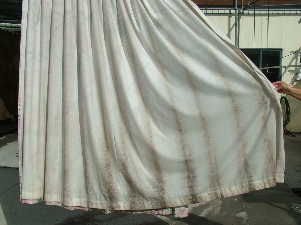 Why do we get mouldy curtains? Curtain Clean. Professional Curtain